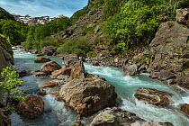 Gave de Pau river near village of Gavarnie, Pyrenees National Park, France. June.