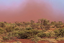Sandstorm, Pannawonica, Pilbara, Western Australia. August 2019.
