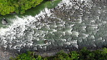 Aerial drone shot of rapids on the Rio Quijos, a tributary of the Amazon, Ecuador, 2020.