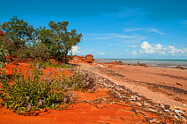 Roebuck Bay, Kimberley, Western Australia, March 2013