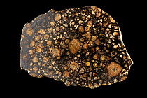 Chondrite meteorite, Northwest Africa, Carbonaceous