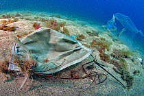 Face mask, used as PPE during Covid-19, improperly disposed of in the sea, Tenerife, Canary Islands