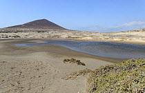 Costal lagoon protected for breeding Kentish plover (Charadrius alexandrinus), Montana Roja Natural Reserve, El Medano, Tenerife, August.
