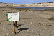 Coastal lagoon protected for breeding Kentish plover (Charadrius alexandrinus) by no entry sign and a wire fence, Montana Roja Natural Reserve, El Medano, Tenerife, August.
