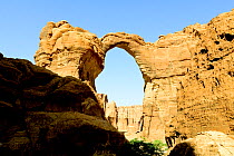 Aloba arch - eroded sandstone rock formation in the Ennedi Natural And Cultural Reserve, UNESCO World Heritage Site, Sahara Desert, Chad. September 2019.