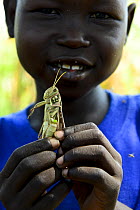 A child holding a migratory locust ,he has caught, South of Chad. September 2019.