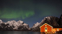 Timelapse of the Aurora Borealis above a rorbu, a traditional Norwegian seasonal house used by fishermen, Lofoten Islands, Norway, January 2020.