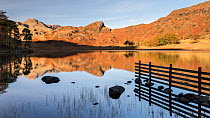 Blea Tarn, evening light and reflections in autumn, Cumbria, The Lake District, UK. November 2016.