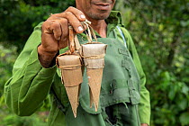 Man selling local sweet known as &#39;cucurucho&#39; traditionally wrapped in palm leaves, near Baracoa, Cuba. March 2019.
