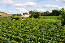View over vineyards around the town of St Emilion in the Bordeaux Region of France, August