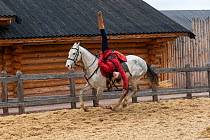 Rider performing Cossack stunts on Akhal-Teke horse. Kievan Rus Park, a reconstruction of the former capital Rus. Ukraine, 2020.