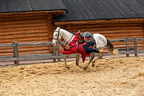 Rider performing Cossack stunts on Akhal-Teke horse. Kievan Rus Park, a reconstruction of the former capital Rus. Ukraine, 2020.