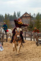 Archer aiming arrow whilst mounted on cantering Haflinger horse. Kievan Rus Park, a reconstruction of the former capital Rus. Ukraine, 2020.