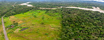 Aerial view of cattle farm with fish ponds for raising Tilapia, cleared from Amazonian rainforest. Rio Napo in background, Napo Province, Ecuador