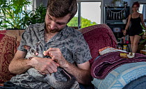Wildlife rescuer and carer holding orphaned Brushtail possum (Trichosurus vulpecula) joey whilst sitting on sofa in his living room. Woy Woy Bay, New South Wales, Australia. December 2019.  Editorial...