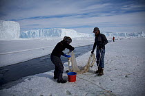 Scientists fishing with a net in a tide crack formed in the fast ice, Dumont d&#39;Urville station, Antarctica, December 2016