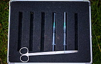 A case with two syringes containing TB vaccine for badgers and a pair of scissors being used during a European badger vaccination programme in North Somerset, UK. Badger vaccination programmes are bei...