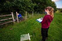 A volunteer records data while a vaccinator inoculates a European badger (Meles meles) against TB. North Somerset, UK. Badger vaccination programmes are being carried out in England as a means of cont...
