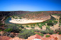 Meander of Murchison River surrounded by shrubland, viewed from Nature&#39;s Window. Kalbarri National Park, Western Australia. October 2019.