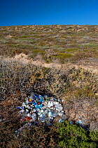 Litter of cans and plastic bottles illegally dumped in Shelter Bay. Edel Land National Park (proposed), Shark Bay, Western Australia. October 2019.