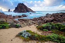 Sugarloaf Rock viewed fom coast of Leeuwin-Naturaliste National Park. The granite outcrop is the southernmost regular breeding site of the Red-tailed tropicbird (Phaethon rubricauda). Western Australi...