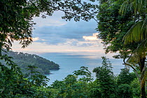 Coastal rainforest landscape at the edge of the Pacific Ocean Manuel Antonio National Park, Quepos, Costa Rica