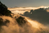 Sunrise over a landscape with secondary rainforest and patches of farmland Carara National Park, Tarcoles, Costa Rica