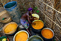 Holi tribeswoman preparing and processing Palm oil, an oil widely used throughout the country. Benin, 2020.