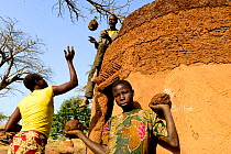 Somba family using mud to repair their traditional house, the Land of the Batammariba, Benin, February 2020
