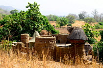 Takyenta mud tower house within Tammari village, made from mud, branches and straw. Koutammakou, the Land of the Batammariba, Togo, 2020.
