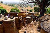 Village of the Tammari people with takyenta mud tower houses made from mud, branches and straw. Koutammakou, the Land of the Batammariba, Togo, 2020.