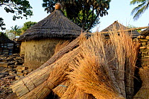 Pile of thatching material beside traditional clay houses in Taneka village. Benin, 2020.