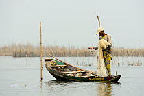 Tofinou fishermen fishing in Lake Nokoue, Oueme River delta. Ganvie, known as African Venice. Benin, 2020.