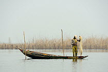 Tofinou fisherman standing in boat, retrieving fish from net. Lake Nokoue, Oueme River delta, Ganvie, known as African Venice, Benin, 2020.