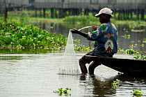 Tofinou fisherman raising net whilst sitting on edge of boat. Lake Nokoue, Oueme River delta, Ganvie, Cotonou, Benin, 2020.