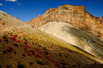 Scree slope and mountains. Photang River valley, Zanskar, Ladakh, India. September 2011.