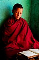 Young novice studying, portrait. In small school of the Karsha Gompa, a Buddhist monastery at 3650m altitude founded in the 10th Century. Padum Valley, Zanskar, Ladakh, India. 2011.