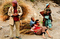 Ladakhi family resting after working in the fields, with harvest. Honupatta, Ladakh, India. September 2011.