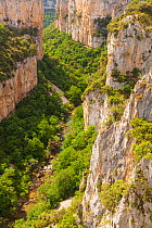 Arbaiun Gorge in summer with trees in full leaf. Foz de Arbayun Natural Park, Salazar Valley, Navarre, Spain. June 2014. Sequence 1/4.