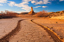 Tyre tracks in cracked mud of temporary river, Castildetierra mountain rock formation in background, in evening light. Bardenas Reales Natural Park. Navarre. Spain. January 2006