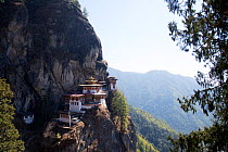 Tiger&#39;s Nest Monastery on steep cliff, at an altitude of 3120m. Forested mountains in background. Paro Valley, Bhutan Feb 2019