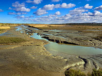 Coastal wetlands of RSPB Titchwell Nature Reserve, Norfolk, UK, March.