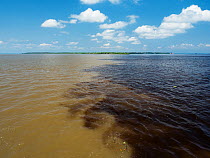 The meeting of the Rio Negro (black water) and the Amazon river near Manaus, Amazon Basin Brazil.