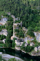 Village of Castelbouc along the river, Gorges du Tarn, Cevennes national Park, Unesco classified site , Lozere, France, July