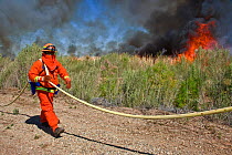 Firefighters monitoring controlled burn of dense cattail marsh at the Sonny Bono Salton Sea National Wildlife Refuge. Burned as habitat management to benefit the endangered Yuma clapper rail (Rallus l...