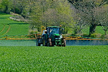 John Deere tractor with trailed Knight boom sprayer spraying wheat crop at about stage 30, April, Devon