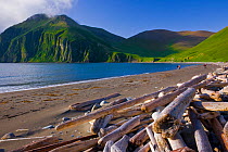 Peschanaya Bay, Medny Island, Commander Islands, Russia. Dramatic escarpments, glacial cirques, and beautiful small beaches are prominent features of Medny Island in Russia&#39;s Commander Islands (ak...