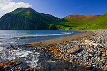 Peschanaya Bay, Medny Island, Commander Islands, Russia. Dramatic escarpments, glacial cirques, and beautiful small beaches are prominent features of Medny Island in Russia&#39;s Commander Islands (ak...