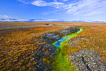 Arctic tundra with frost-wedging features caused by repeated freeze-thaw processes in rocky soil, and surface water accumulation from melting permafrost. Wrangel Island, Siberian Arctic, Chukchi Sea,...