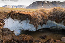 Exposed melting permafrost in the arctic archipelego of Svalbard, Norway. June 2016.